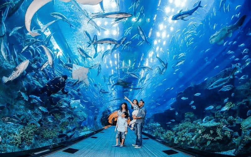 tour-thanh-hoa-nha-trang-da-lat-5n4d-gia-tot-2