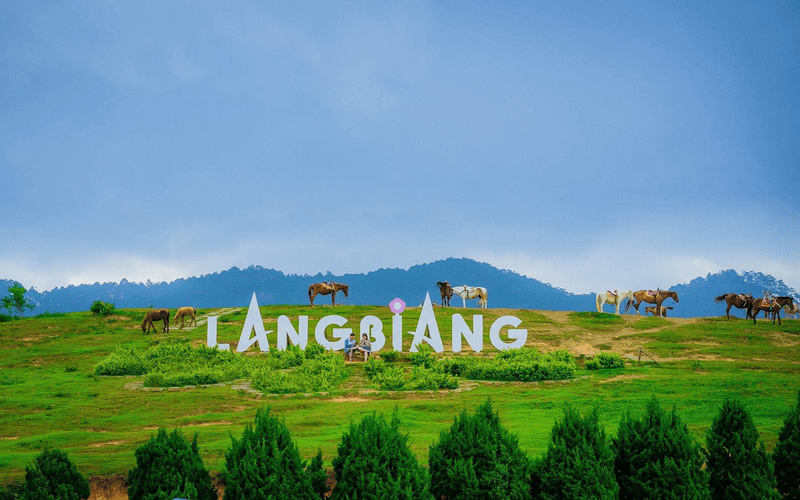 tour-thanh-hoa-nha-trang-da-lat-5n4d-gia-tot-6