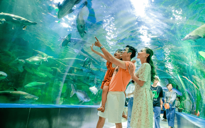 Tour Thiên Đường Bảo Sơn Hot Nhất 2026