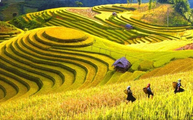 di-sapa-mua-nao-dep-nhat -luachin