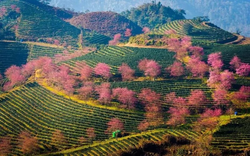 di-sapa-mua-nao-dep-nhat -xuan