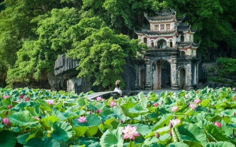 kinh-nghiem-di-trang-an-tam-coc-chi-tiet-bichdong