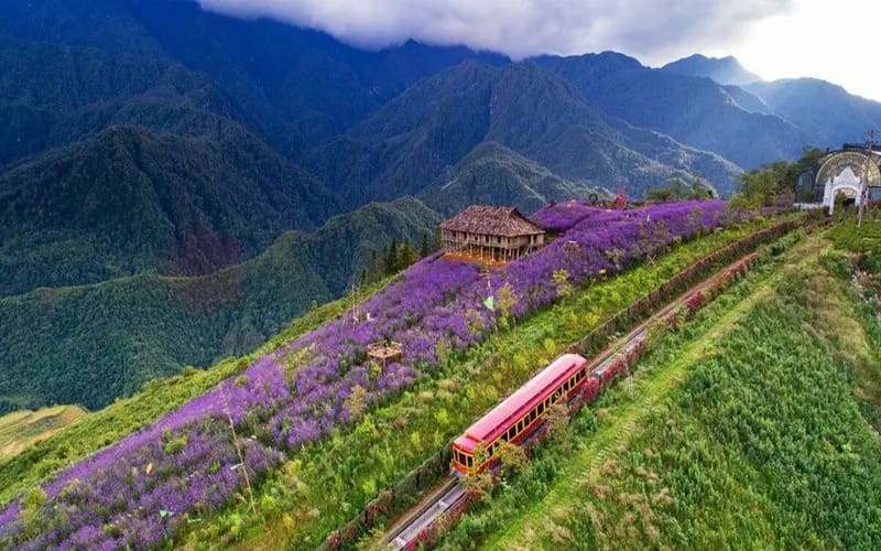 kinh-nghiem-du-lich-sapa-tu-tuc-tu-a-z -muonghoa