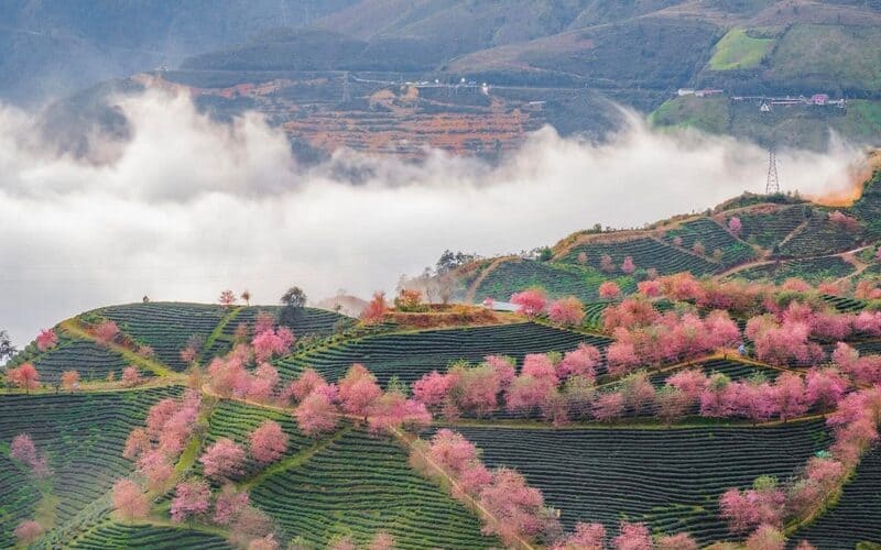 lich-trinh-du-lich-sapa-3-ngay-2-dem -thu