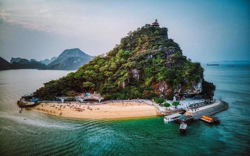 lich-trinh-hang-ngay-sea-octopus-cruise lich-trinh-hang-ngay-sea-octopus-cruise