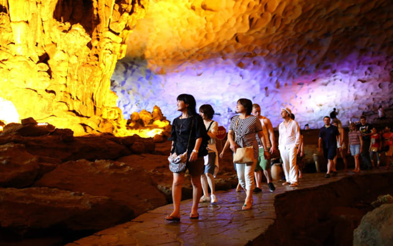 lich-trinh-hang-ngay-sea-octopus-cruise -sungsot lich-trinh-hang-ngay-sea-octopus-cruise -sungsot