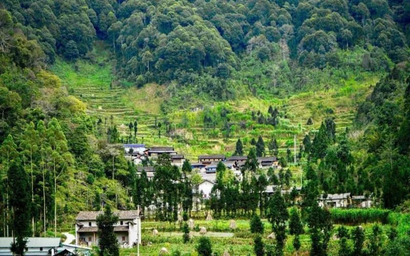 lich-trinh-phuot-ha-giang-3n2d-cho-nguoi-moi -phocao