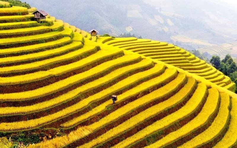 nhung-dia-diem-dep-nhat-o-ha-giang -luachin