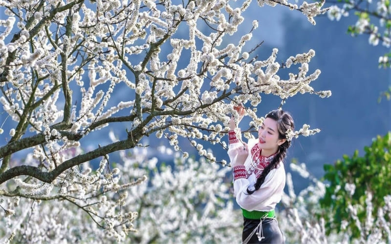 nhung-dia-diem-dep-nhat-o-ha-giang -muahe