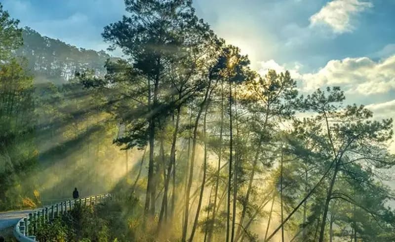nhung-dia-diem-dep-nhat-o-ha-giang -rungthong (1)