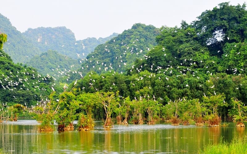 top-dia-diem-du-lich-ninh-binh-dep-nhat-vuonchim