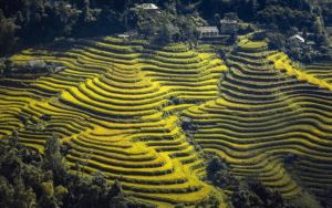 tour-kham-pha-pu-luong-bang-xe-may-trong-ngay