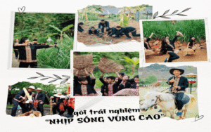 Tour Mộc Châu 2N1Đ Khám Phá Đồi Chè Trái Tim