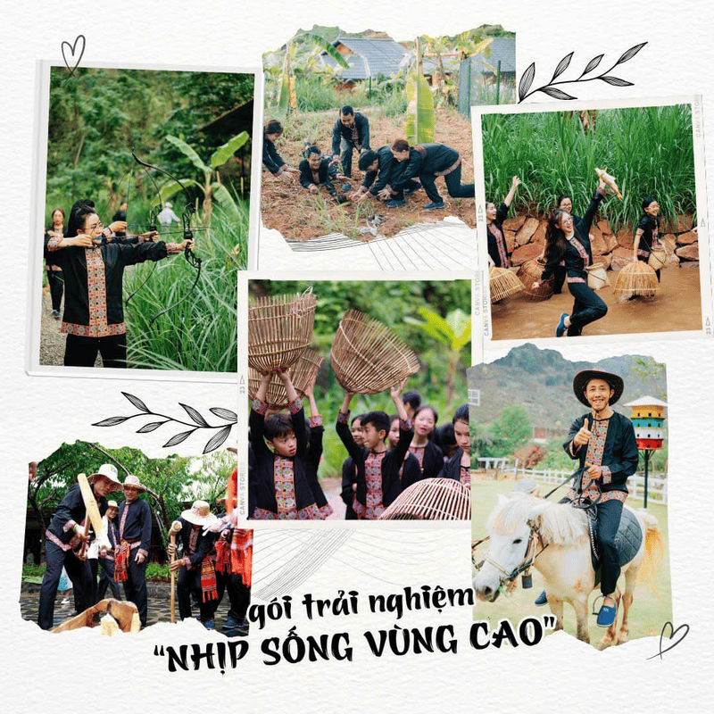 tour-moc-chau-2n1d-kham-pha-doi-che-trai-tim -2 (1)