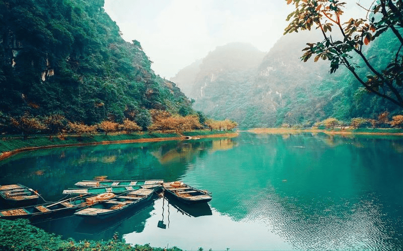 Tour Ninh Bình 2N1Đ Tràng An – Bái Đính Giá Tốt 2026