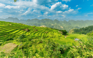 tour-trekking-pu-luong-1-ngay-kham-pha-thien-nhien-1