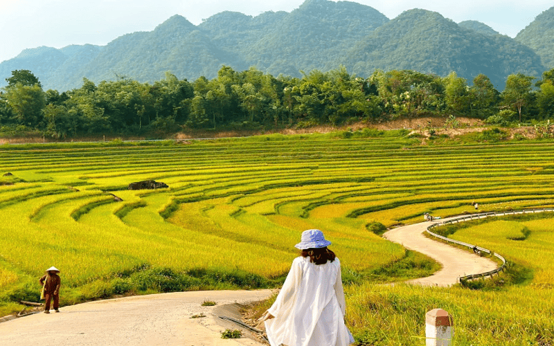 tour-trekking-pu-luong-2n1d-tu-ha-noi-hap-dan-1 tour-trekking-pu-luong-2n1d-tu-ha-noi-hap-dan-1