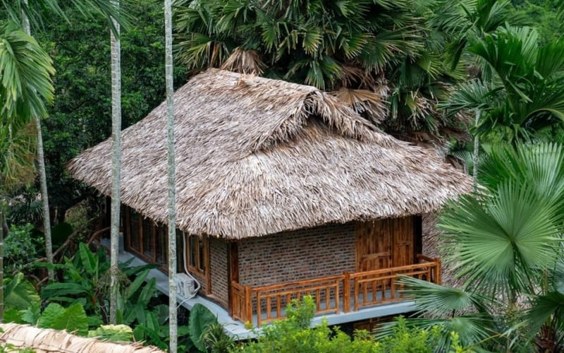 asia-tropical-resort-spa-vibe