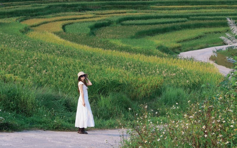 homestay-pu-luong-gan-ban-don-view-dep-gia-uu-dai-5