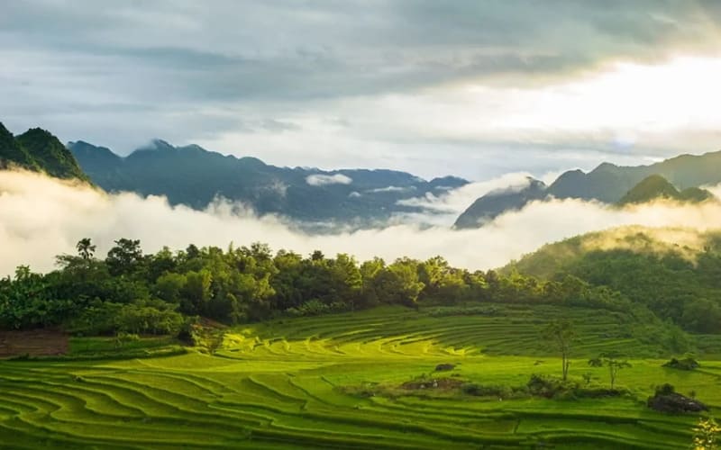 kinh-nghiem-du-lich-pu-luong-chi-tiet-tu-a-z-2026-