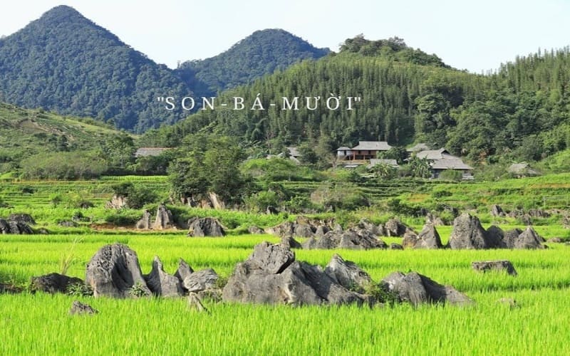 kinh-nghiem-du-lich-pu-luong-chi-tiet-tu-a-z-2026-sonba