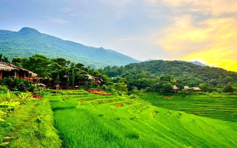 nghi-duong-pu-luong-tron-goi-khuyen-mai-hap-dan-4
