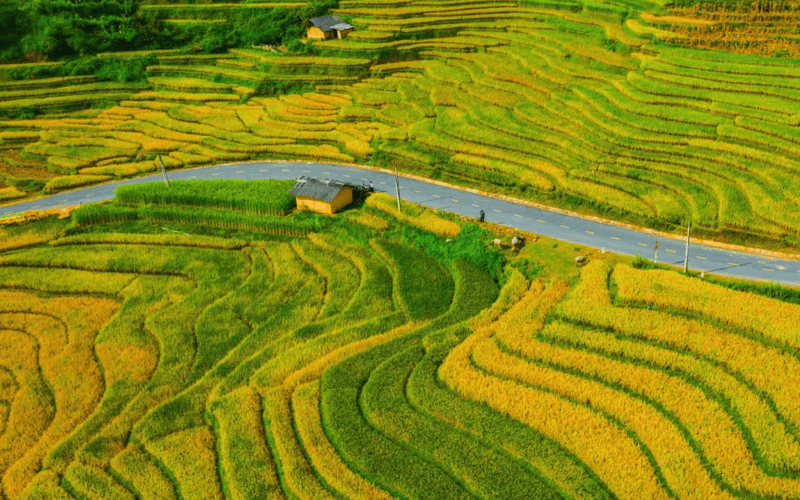 noi-luu-tru-o-pu-luong-dang-trai-nghiem-nam-2026-luachin