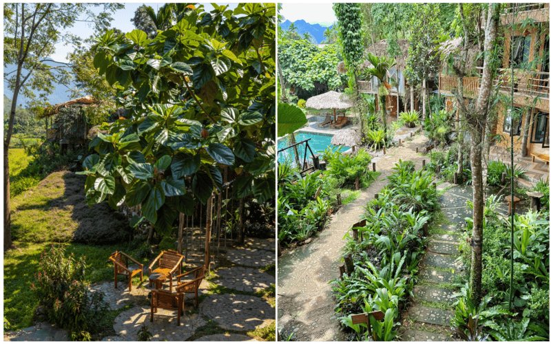 pu-luong-natura-bungalow-nghi-duong-giua-thien-nhien-tree1