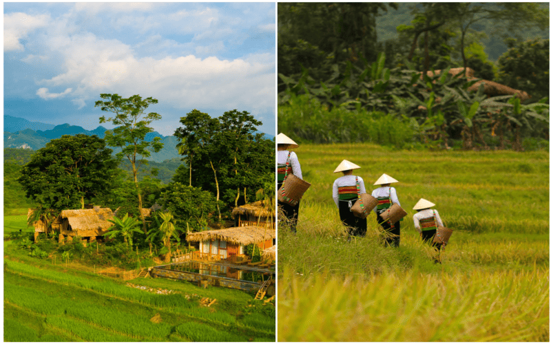 pu-luong-natura-bungalow-nghi-duong-giua-thien-nhien10