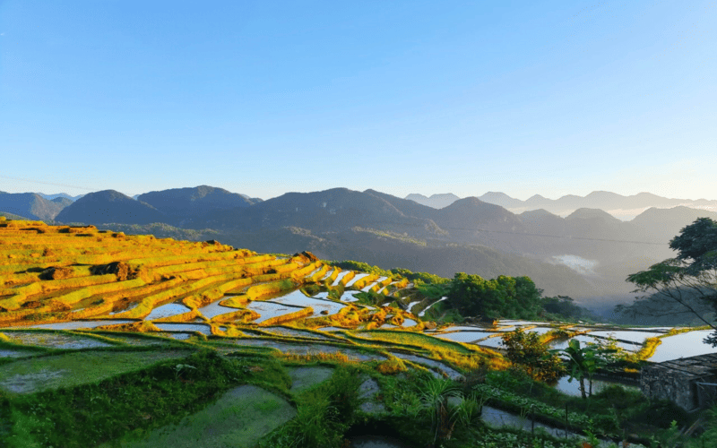 pu-luong-thang-8-mua-lua-chin-dau-vu-dep-hut-hon-2