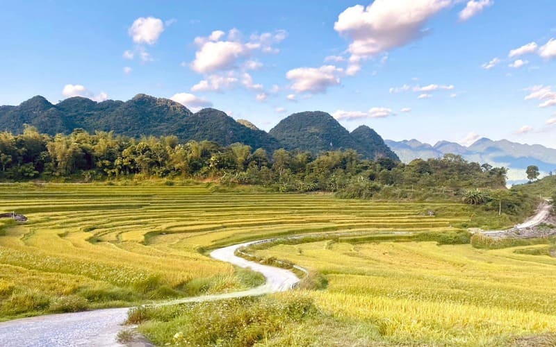pu-luong-thang-8-mua-lua-chin-dau-vu-dep-hut-hon-6