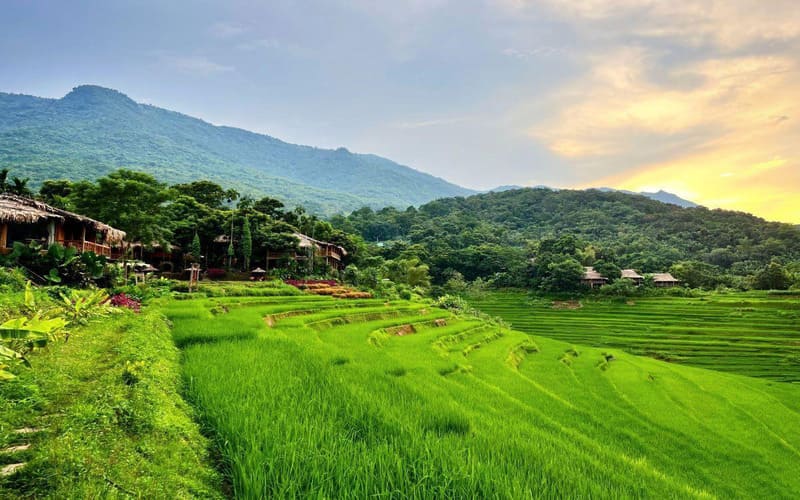 resort-pu-luong-co-ho-boi-vo-cuc-ruong-bac-thang-muahe