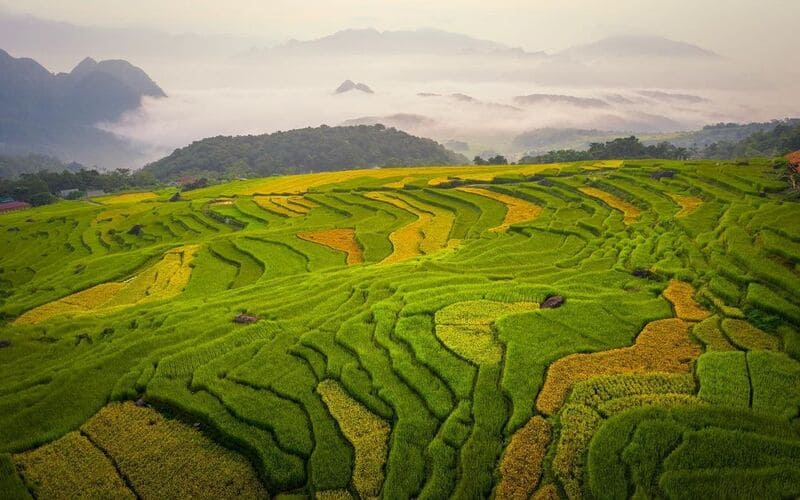 resort-view-ruong-bac-thang-pu-luong-trai-nghiem-4