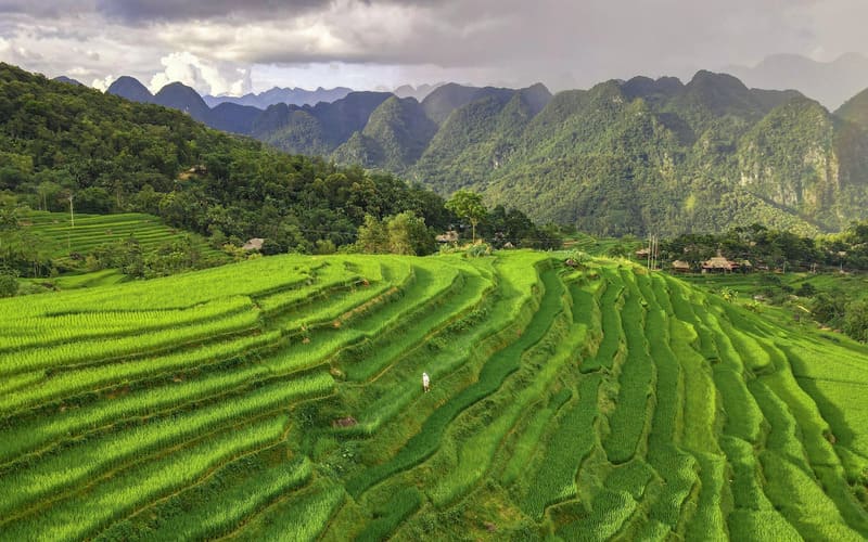 resort-view-ruong-bac-thang-pu-luong-trai-nghiem-6