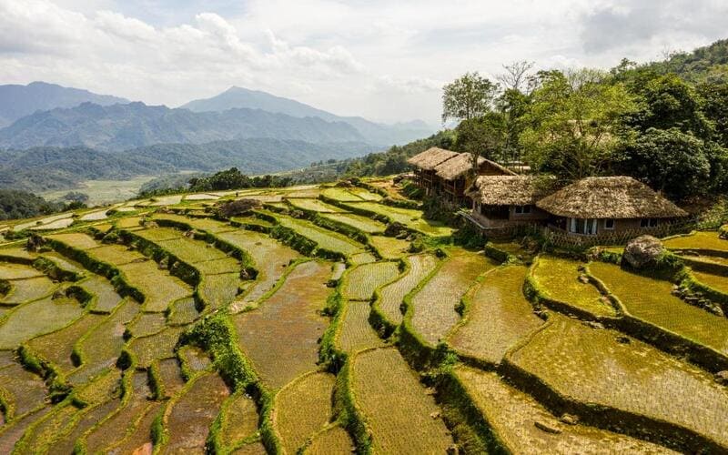 resort-view-ruong-bac-thang-pu-luong-trai-nghiem-8