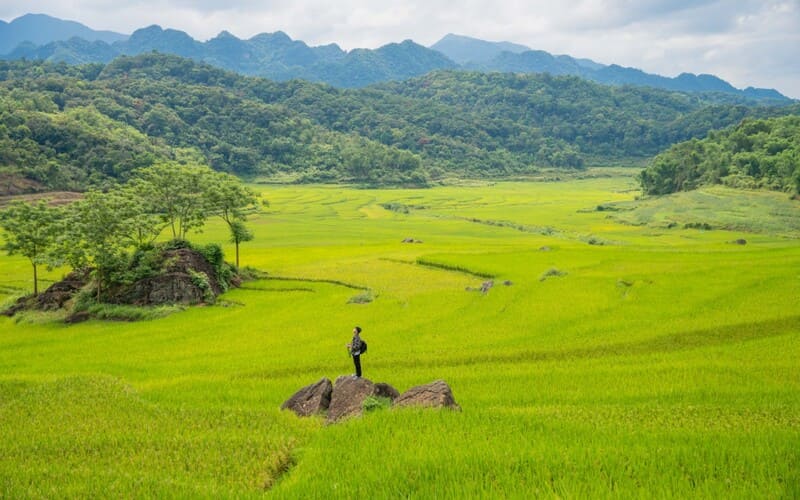thoi-tiet-pu-luong-co-dep-khong-kinh-nghiem-du-lich-2