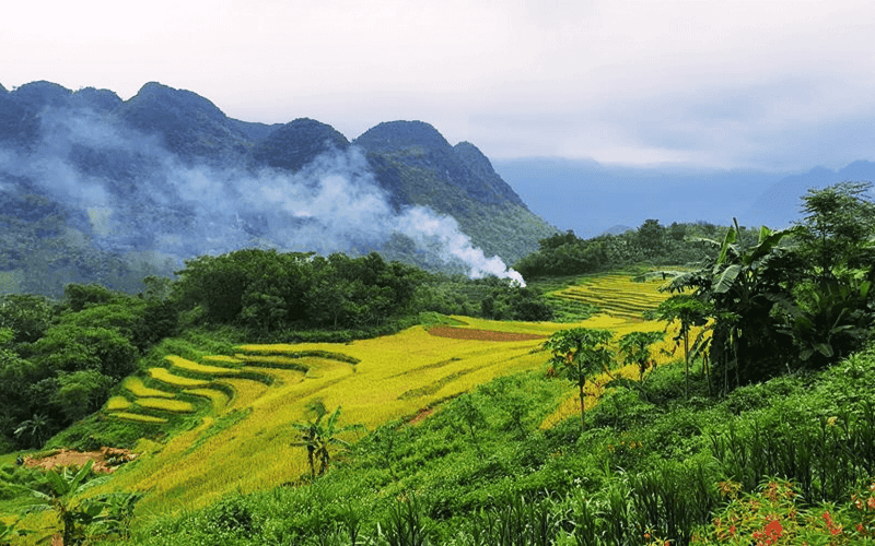 thoi-tiet-pu-luong-co-dep-khong-kinh-nghiem-du-lich