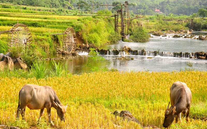 tour-du-lich-pu-luong-tron-goi-khoi-hanh-tu-ha-noi-1