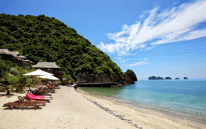 tour-ha-noi-cat-ba-2n1d-tron-goi-gia-tot-2026-1
