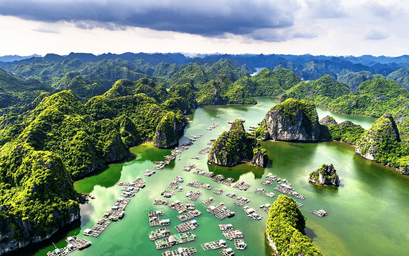 tour-ha-noi-cat-ba-2n1d-tron-goi-gia-tot-2026-2 tour-ha-noi-cat-ba-2n1d-tron-goi-gia-tot-2026-1