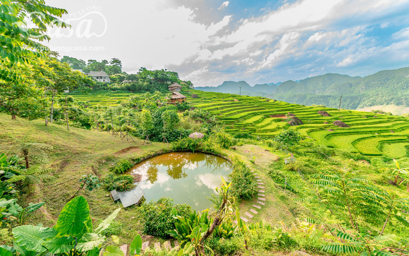 tour-nghi-duong-pu-luong-resort-view-nui-gia-hap-dan