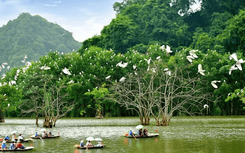 tour-ninh-binh-2n1d-kham-pha-hoa-lu-thung-nham-1