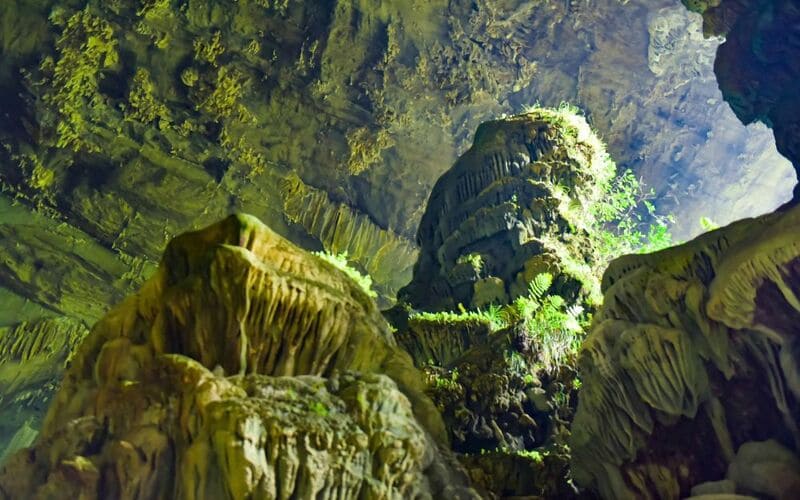 tour-pu-luong-2-ngay-1-dem-tron-goi-gia-tot-2026-6