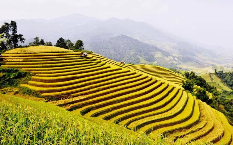 tour-pu-luong-2-ngay-1-dem-tron-goi-gia-tot-2026-bacthang
