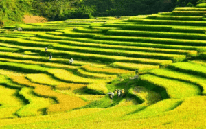 tour-pu-luong-2n1d-thac-hieu-kho-muong-ban-don-1