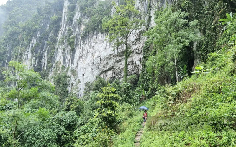 tour-pu-luong-3-ngay-2-dem-kham-pha-thien-nhien-khomuong