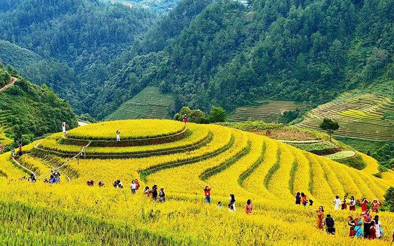 tour-pu-luong-gia-re-2026-khoi-hanh-hang-tuan-2