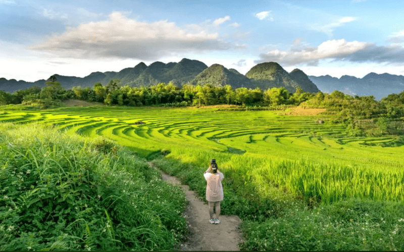 tour-pu-luong-gia-re-2026-khoi-hanh-hang-tuan