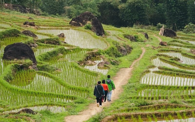 tour-pu-luong-tu-ha-noi-gia-uu-dai-xe-dua-don-1