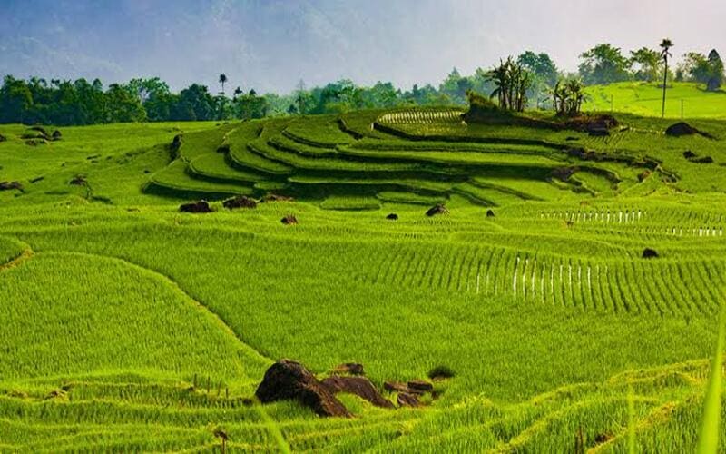 tour-pu-luong-tu-ha-noi-gia-uu-dai-xe-dua-don-6